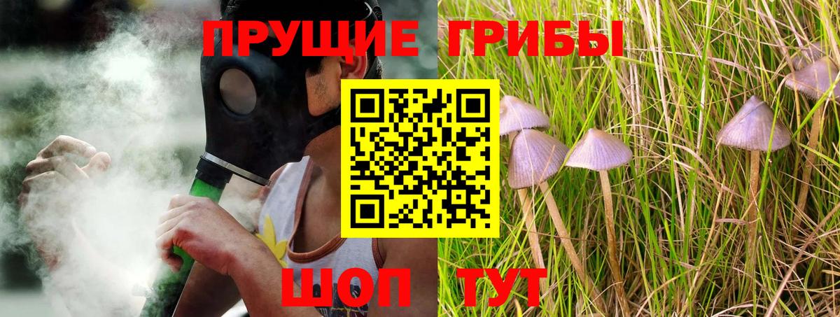 Псилоцибиновые грибы мухоморы Миасс