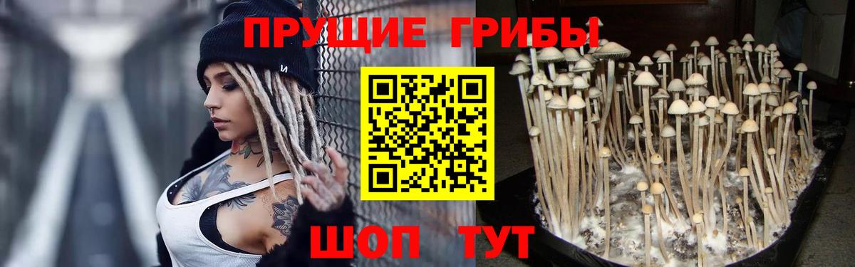  COCAIN Миасс